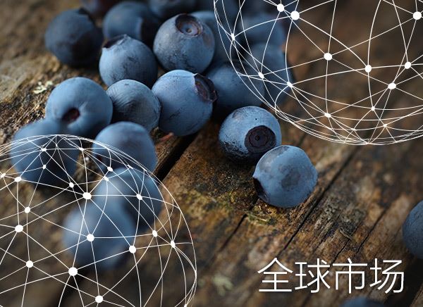 全球市场报告：蓝莓