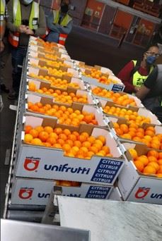 12年后南非柑橘首次被运往菲律宾