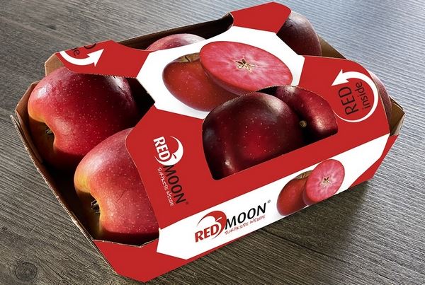 Red Moon苹果开始收获，国际扩张仍在继续
