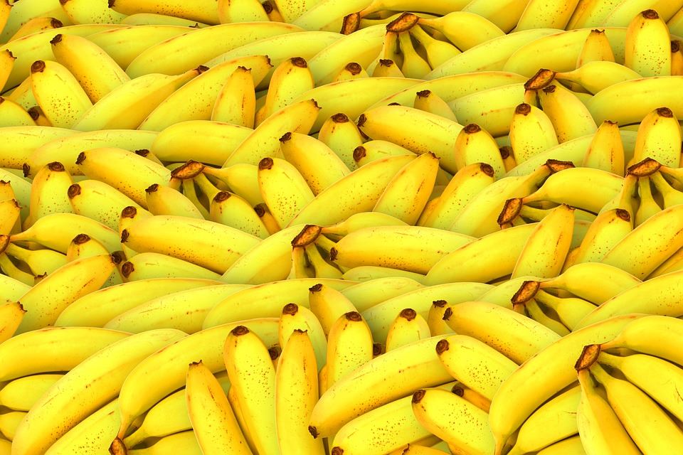 前9月柬埔寨香蕉对华出口超30万吨