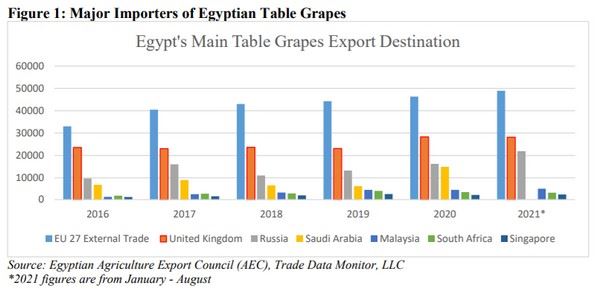 埃及葡萄产量据预测下降 17%