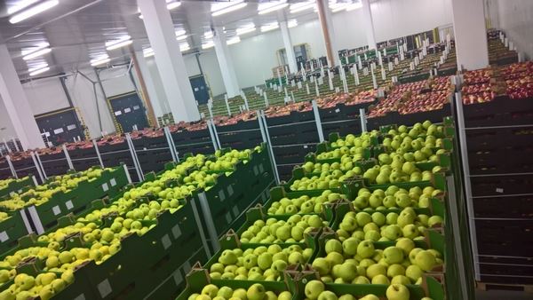 “新产季将是对波兰水果种植商和出口商的巨大考验”
