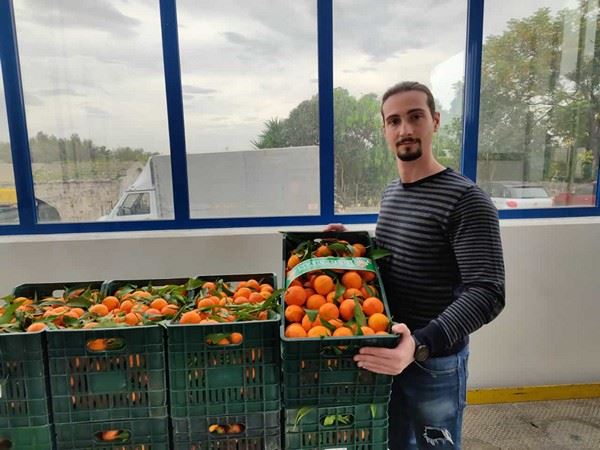 市场对意大利 Ionian 地区柑橘的需求很高