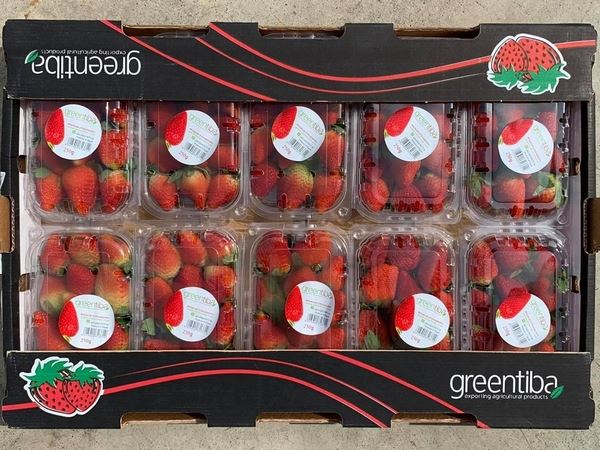 “我们的草莓品牌知名度每年帮我们增加新的客户”