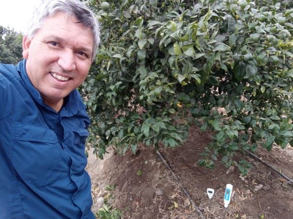 智利鳄梨种植者受益于瑞士的精确灌溉技术