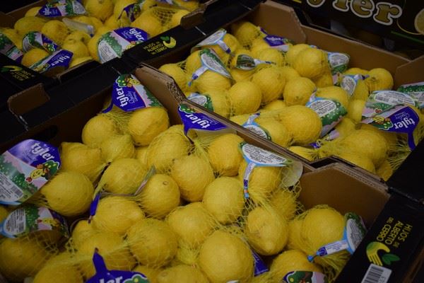 “西班牙柠檬季已经开启一个月”