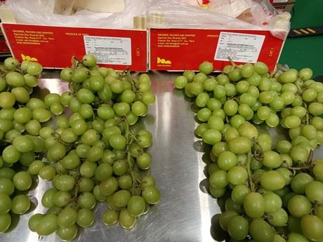 “秘鲁葡萄产季正式开启，首批货抵达广州市场"