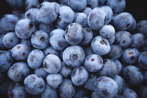 芒市佳沃现代农业产业园千亩蓝莓投产上市