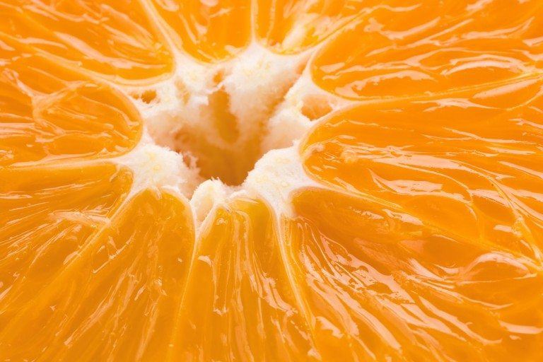 中国与津巴布韦就柑橘对华出口签署协议