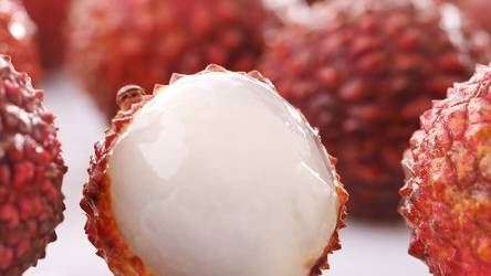 海垦果蔬“携手”正大集团打造热带水果产业链条