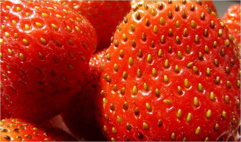 韩国“金草莓”价格涨翻天