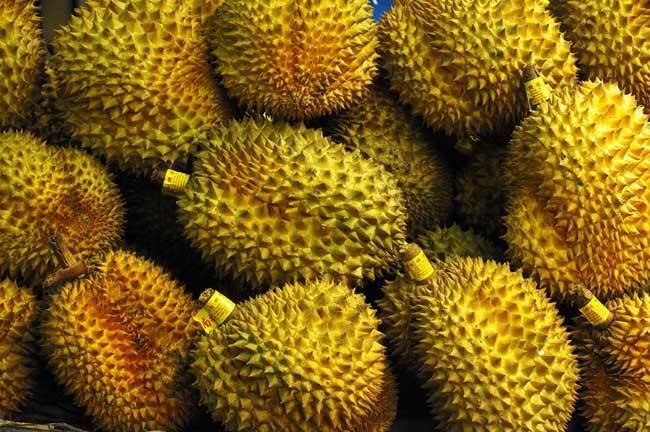 泰国榴莲采摘前14天园区“新冠清零”， 5级防疫措施推动水果对华出口