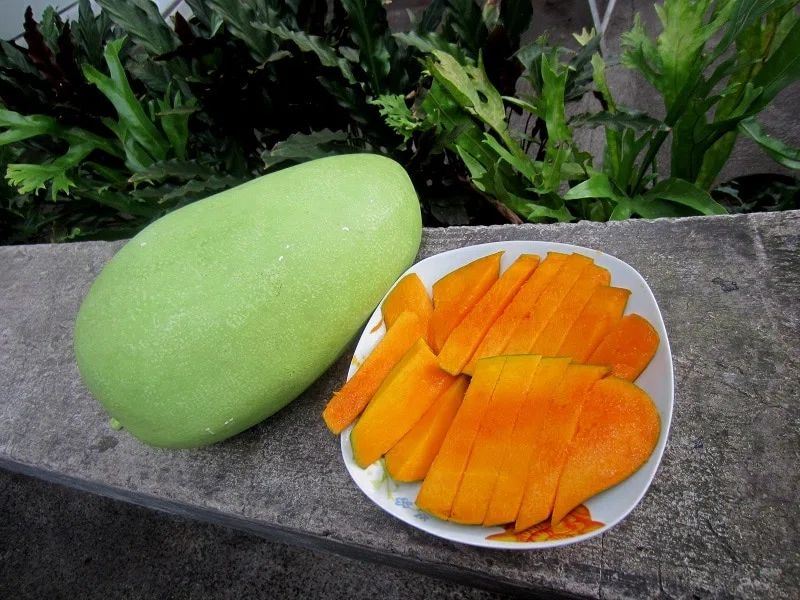 菲律宾发布九大芒果“新品种”，打破出口品种单一困局