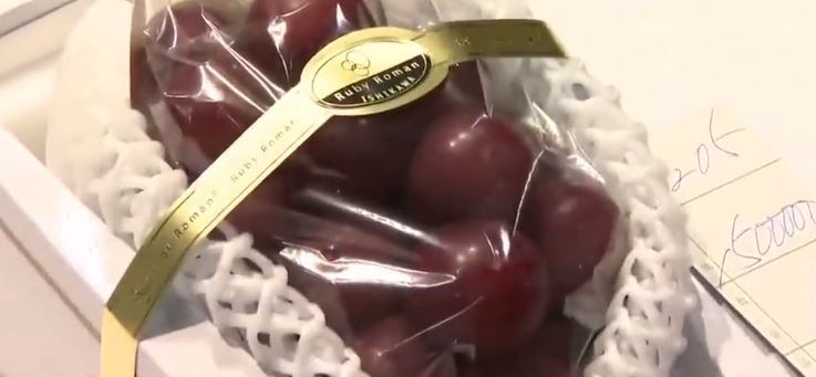 日本“浪漫红宝石”葡萄拍出150万日元高价