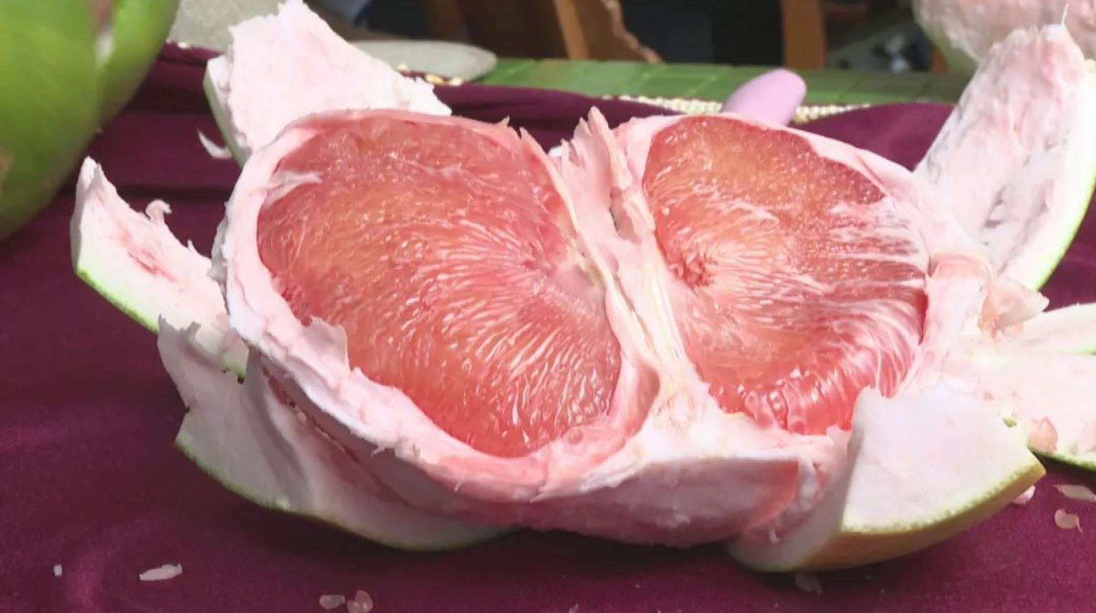 阳东引种“泰国红宝石青柚”高价上市，每个138元