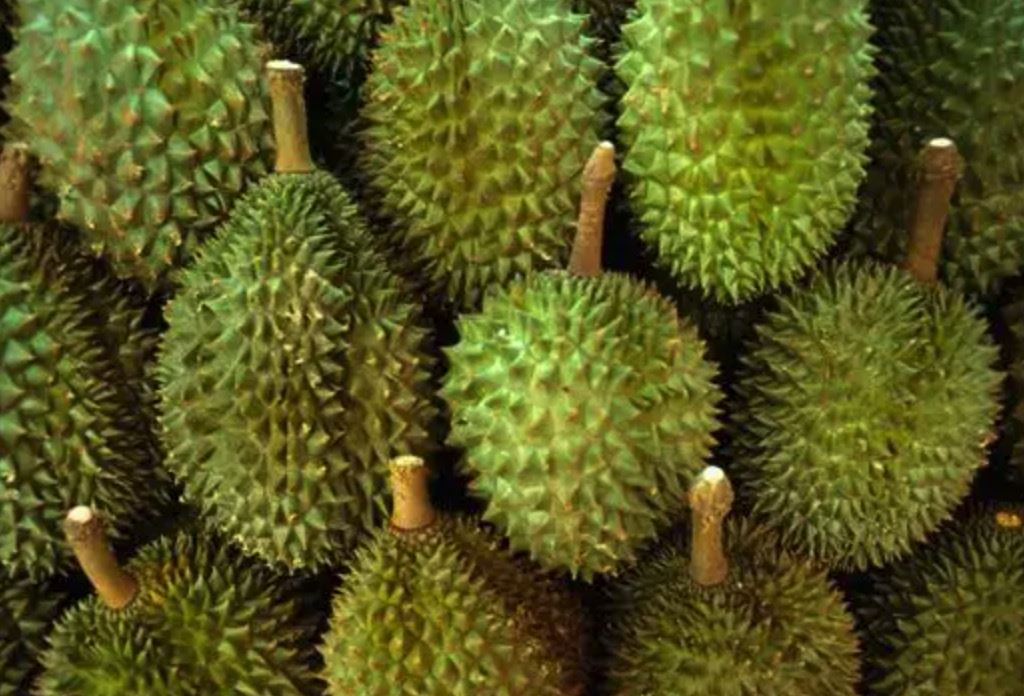 越南重点发展火龙果、榴莲等14种水果种植，目标2025年出口额超50亿美元