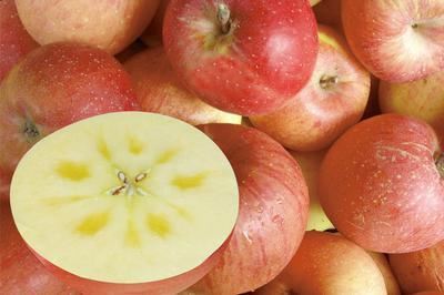 北京出台保供政策，对经营苹果、梨等5类国产水果商户免去进场交易费